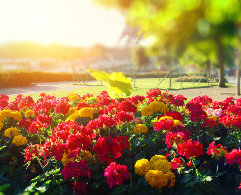 Frühjahrsputz 5 Frühjahrsputz mit Kullik - Tipps, Tricks und Checkliste